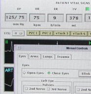 Part of a program on screen: Patient Vital Signs, BP, HR, eyes, arms, lungs, trauma, etc.